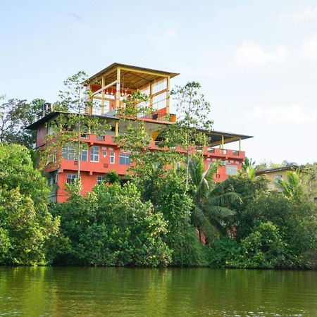 Madu River Edge Hotel Balapitiya Bagian luar foto